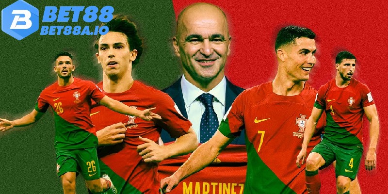 bo dao nha la doi thu dang gom cua nhieu doi tuyen khac bo dao nha la doi thu dang gom cua nhieu doi tuyen khac