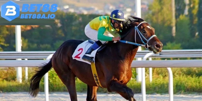 Chú ý đầu tư vốn đúng cách để thu tiền lời cao