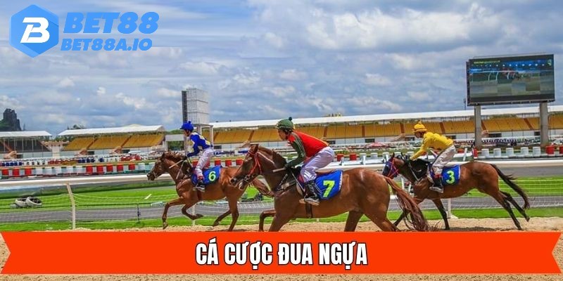 Khi cá cược không thể bỏ qua các hình thức phức tạp