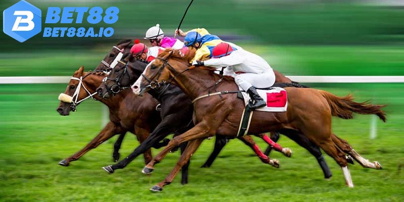 Nên phân tích phong độ thi đấu của ngựa khi đặt cược